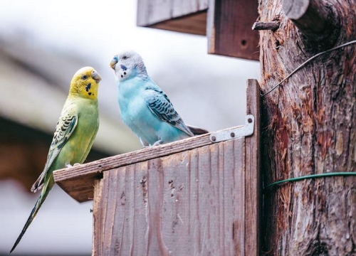 カットがズレても端が綺麗な状態